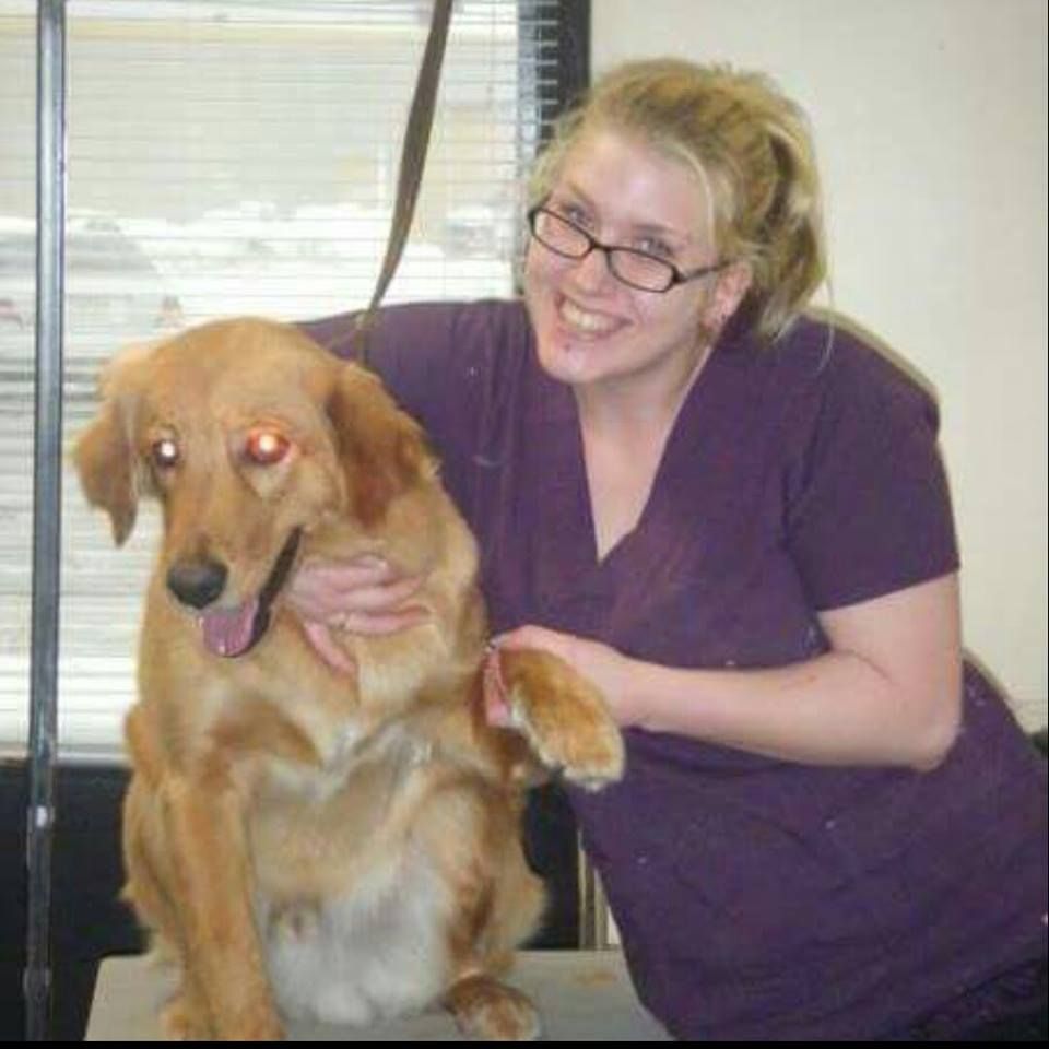 Natasha&s;s K9 Beauty Parlor - Cover photo