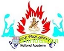 National Academy Senior Secondary School - Logo