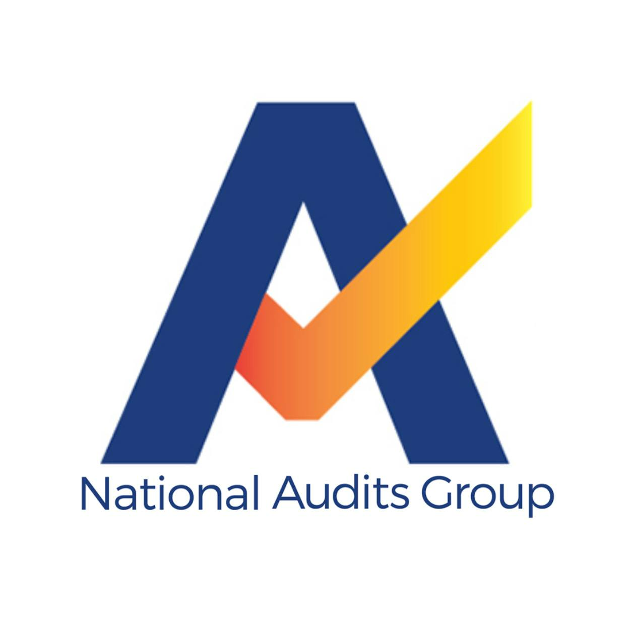 National Audits Group Wagga Wagga - Logo