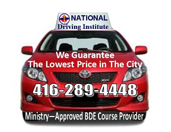 National Driving Institute Inc - Logo