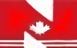 National E.A.S Systems Ltd. - Logo