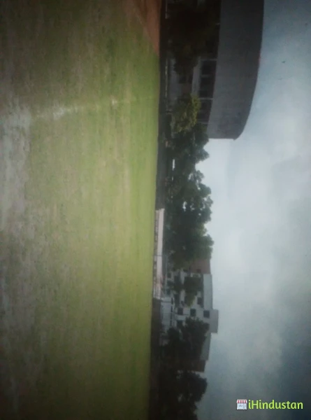 National English High School - Logo