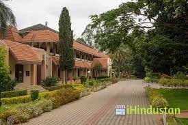 National Institute of Advanced Studies - Logo