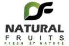 Natural Fruits - Logo
