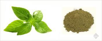 Natural Good Day Health Care - Cover photo