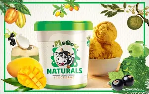 Natural Ice Creams Mow - Logo