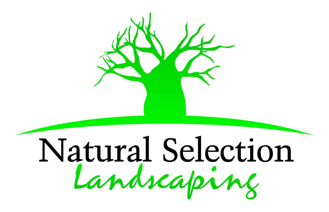 Natural Selection Landscaping - Cover photo
