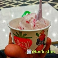 Naturals Ice Cream - Logo