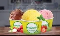 Naturelo Ice Creams - Logo