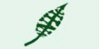 Nature One Naturopathic Health Clinic - Logo