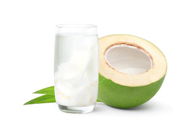 NATURE'S COCONUT JUICE BAR - Logo