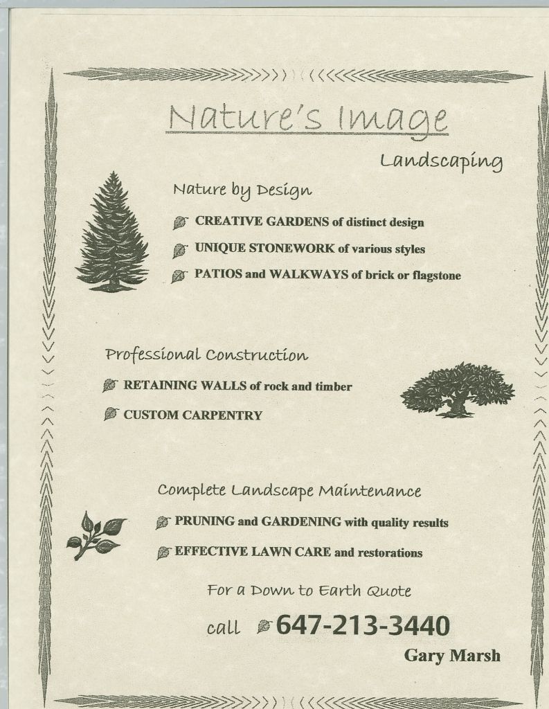 Natures Image - Cover photo