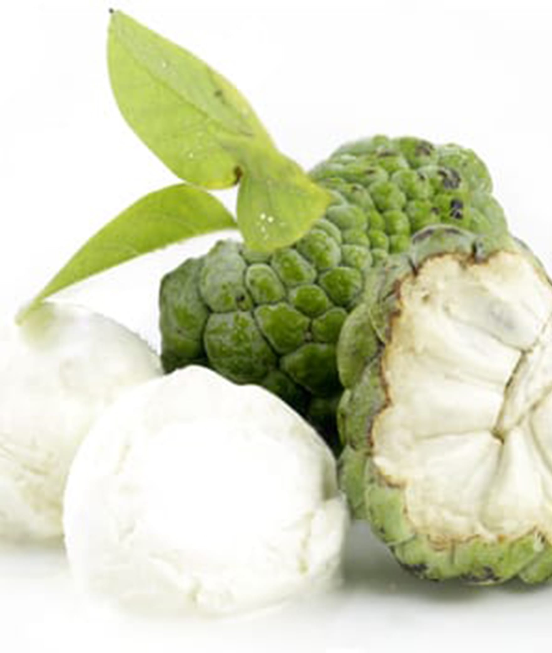 Nature'S Natural Icecream - Logo