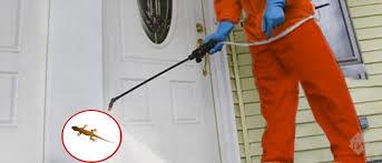 Nava Bharat Pest Control - Cover photo