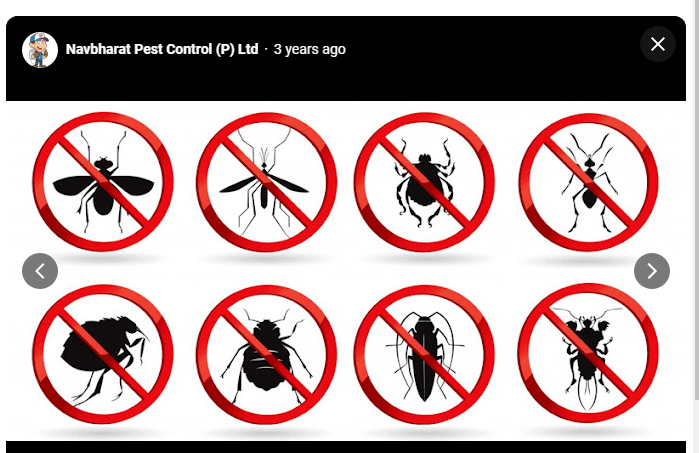 Navbharat Pest Control (P) Ltd - Cover photo
