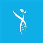 Navipoint Health - Logo