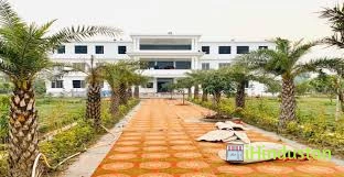 Nayaran Public Schools - Logo