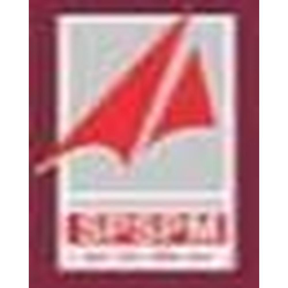 N.B. Navale Sinhgad College of Engineering Solapur (NBNSCE) - Logo