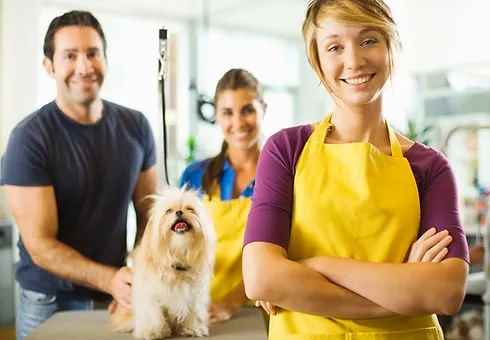 Nb Pet Care - Cover photo