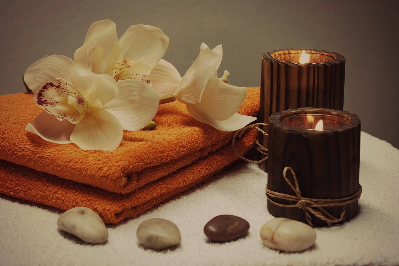 Necessity Natural Skin Care - Logo