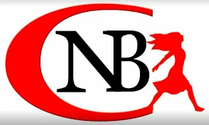 Neelam Beauty Care - Logo