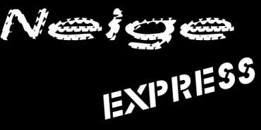 Neige Express - Logo