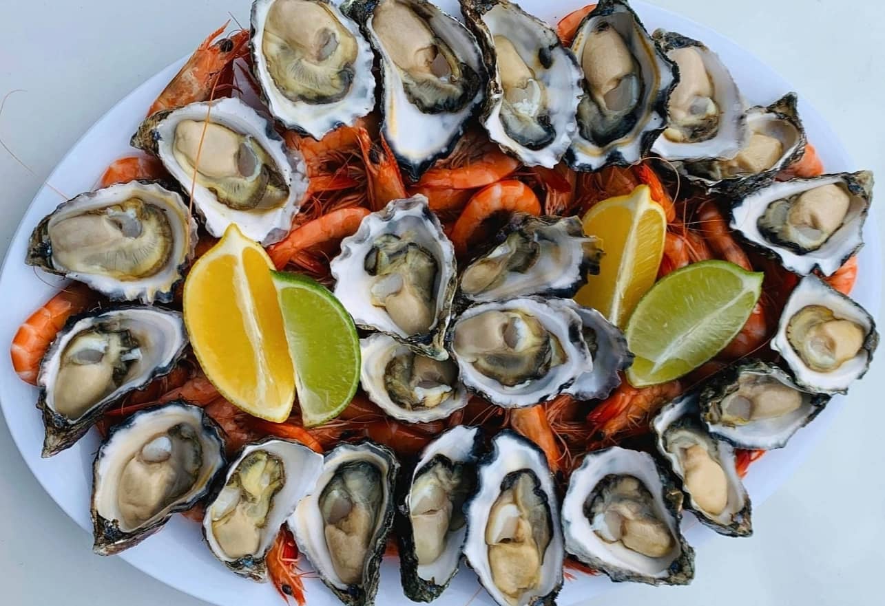 Nelson Bay Fish Market - Logo