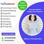 Nestsoft Technomaster - Logo