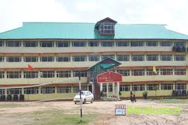Netaji School Of Nursing - Logo