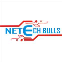 Netech Bulls 183393 - Logo
