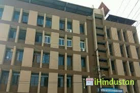 Nethaji Institute Of Nursing Sciences - Logo