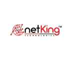 Netking Technologies - Logo