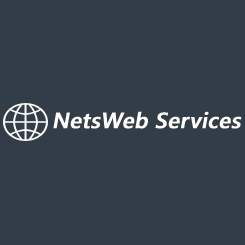 NetsWeb Services - Logo