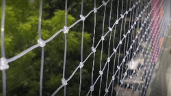 NETTING WALA Anti Bird Net Service provider. Bird spikes Manufacture - Logo