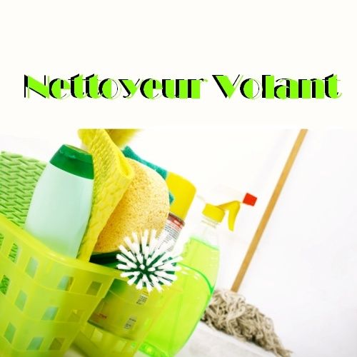 Nettoyeur Volant - Logo
