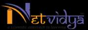 Netvidya Elearning 248947 - Logo