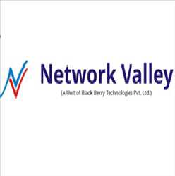 Network Valley 485576 - Logo