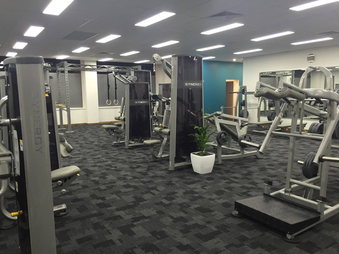 NeuroPhysics Therapy Perth - Cover photo