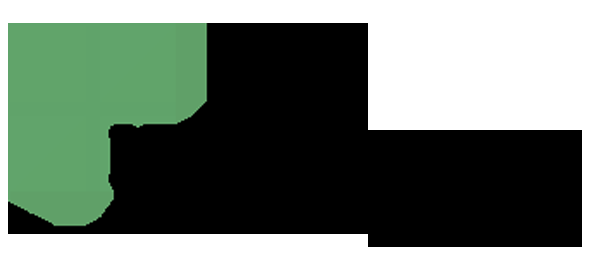 New Alliance Accounting Firm - Logo