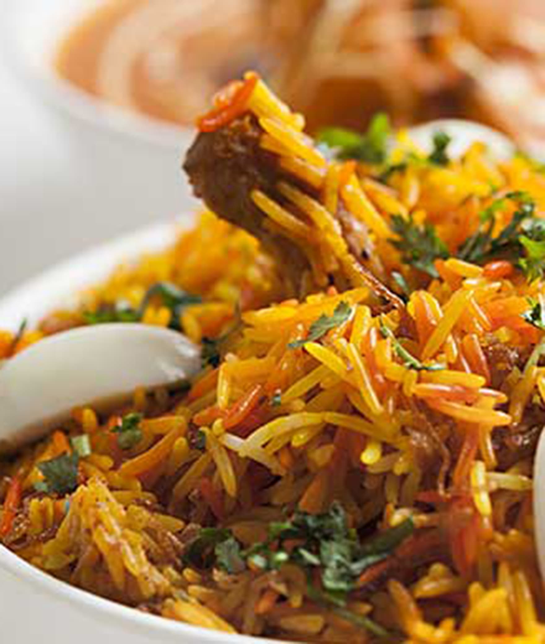 New Biriyani hotel - Logo