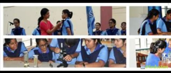 New Divine Secondary School - Logo