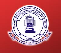 New Millennium National College of Education (NMN) - Logo