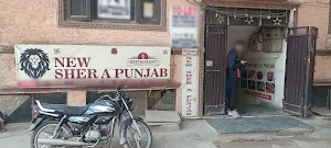 New Sher A Punjab - Logo