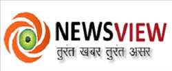 Newsview Media Network 145818 - Logo