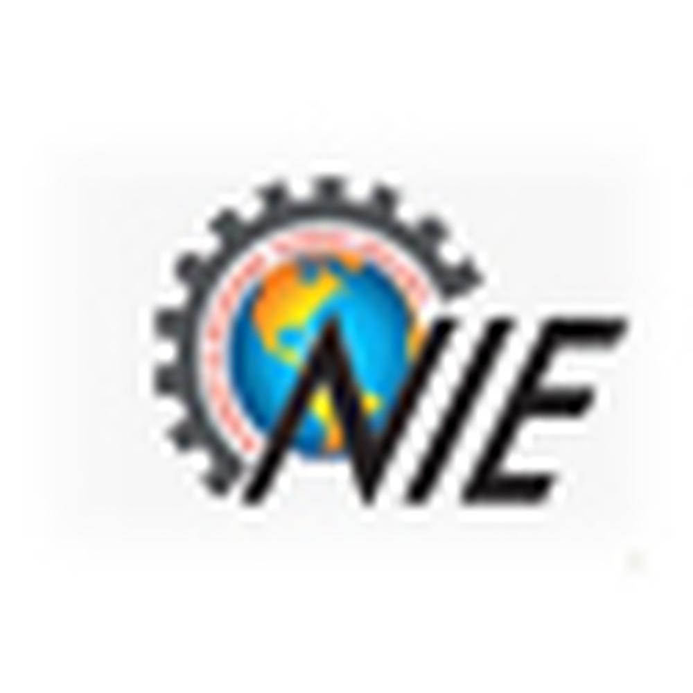 Newton's Institute of Engineering (NIE) - Logo