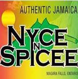Nice N Spicy - Logo