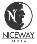 Niceway India - Logo