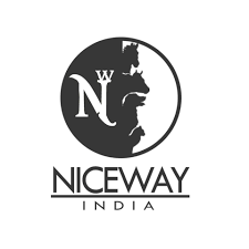 Niceway India - Cover photo