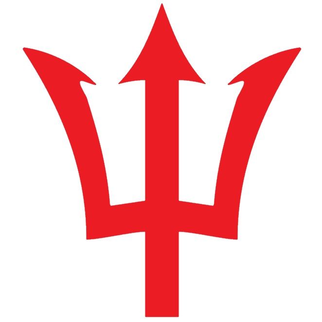 Nicholson Services - Logo