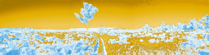 Nick Stiles Psychologist - Cover photo